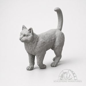 1/72 Cats