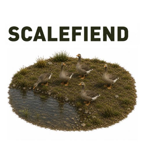 1/72 Geese